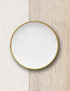 PLATE 21 CM COUPE STAINS