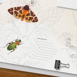 Desk Pad - Insectos
