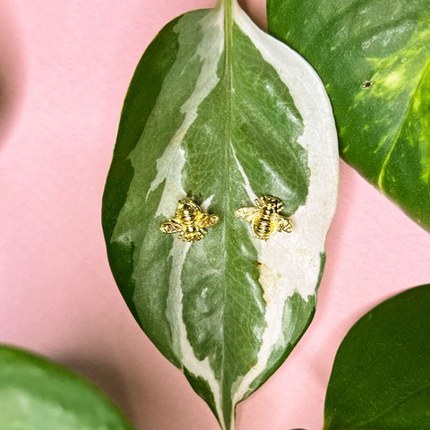 Bee golden studs