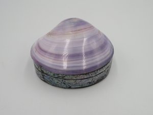 Lila Muschelbox