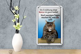 Tin sign saying 12x18cm raising a cat easy decoration