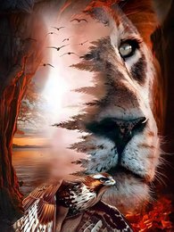  Lion face diamond painting canvas, wildlife animal art, orange sunset landscape design, 50x40cm