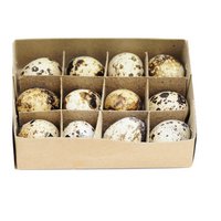 Quail egg, 12 pieces / box, H3cm, natural