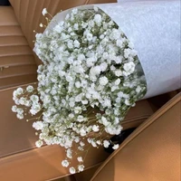 Blumenstrauß aus getrockneten Blumen des weißen Schleierkrauts