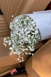 A bouquet of delicate, white gypsophila dried flowers. The flowers have a soft, fluffy appearance and are arranged in a natural, organic style.