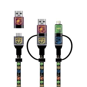 Harry Potter - 4-in-1 oplaadkabel