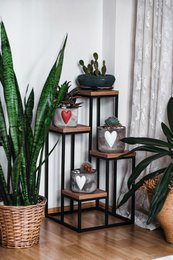 Metal plant rack with wooden etageres from Naturn Living | Etagere Plants | Spice rack | Flower rack indoor - outdoor | Plant stand | Plant column | Matt black
