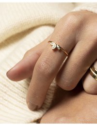 Løfte ring