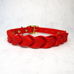 Braided Romance - MEDIUM & LARGE DOG