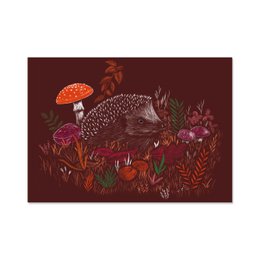 Hedgehog Poster A4