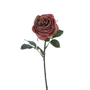 Rose Velvet, 1 Blüte, L38cm, antikrosa