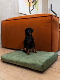 Madras "Soft" til en hund og en kat - genbrugt