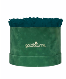 Colección Terciopelo Verde