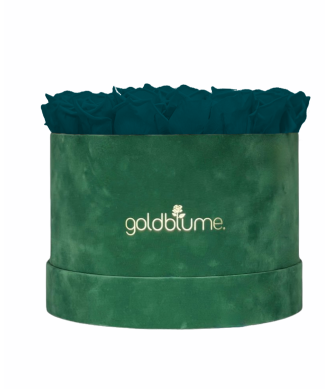 Colección Terciopelo Verde