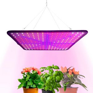 Growlampe LED Vollspektrum - 30 x 30 cm