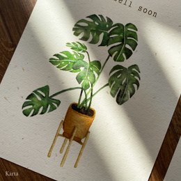 Monstera get-better-card