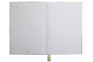 Pimpelmees notebook A5 - sky FSC