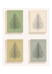 Carte durable + enveloppe | Pin | sapin argenté