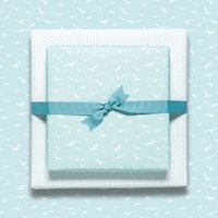 Vögel wrapping paper mint - maritime wrapping paper with seagulls, as a gift packaging for the wedding, for birth or baptism