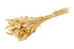 Dried natural lagurus flowers, 60 cm long, in various colors including natural, black, blue, white, and green.