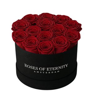 Infinite Promise Flat (M)