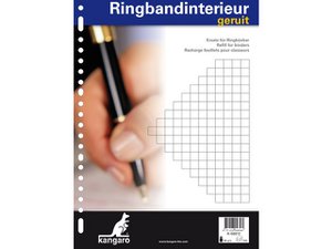 Ringbandinterieur 23r ruit 10mm 100 vel