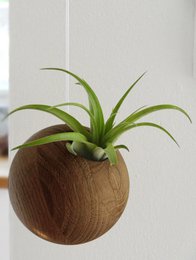 Esfera Colgante - Roble Oscuro