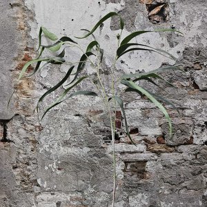Flowr Blad groen/ grijs 115cm (33104)