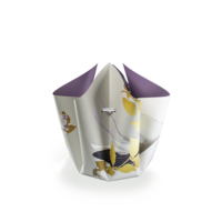 Hendrik.nu Vouwvaas Strikvaas Ooievaar