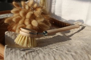 Dish brush with exchangeable head