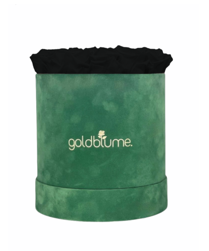 Colección Terciopelo Verde