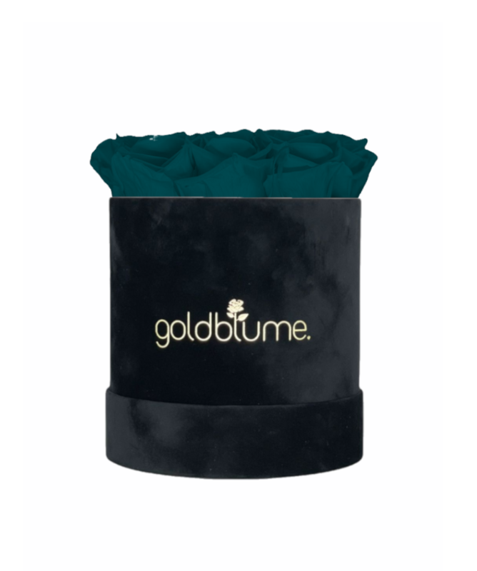Velvet Black Collection