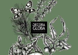 Bastoncini profumati Mikado Diffusore | Profumo di rosmarino, pino ed eucalipto | Paseo Silvestre | 100 ml/3,38 once fluide