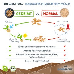 BIOLOGISCHE Energyballs, cashewcacao, gekiemde havervlokken