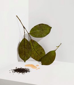 Earl Grey
