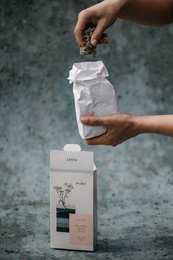 Achillea Tè - tè sfuso
