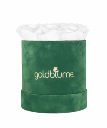 Colección Terciopelo Verde