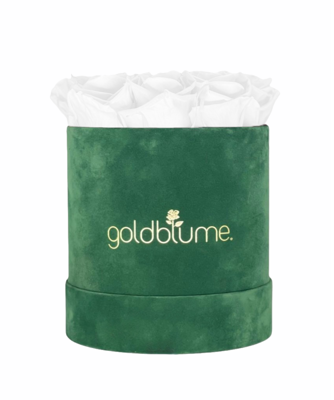 Colección Terciopelo Verde