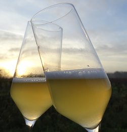 GUDDOMMELIG Kombucha