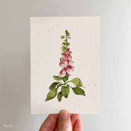 Greeting Card - Foxglove