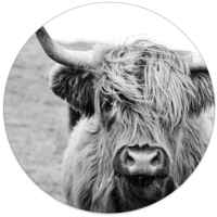 Wall circle Scottish highlander - black and white