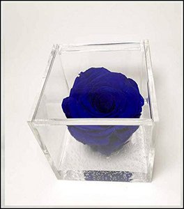 Eeuwig blauwe geurende rozenkubus 6 cm Made Italy Favor