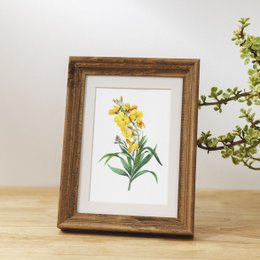 Botaniczny Art Print Mix x16 | Vintage ilustracja kwiat | Dekoracje ścienne