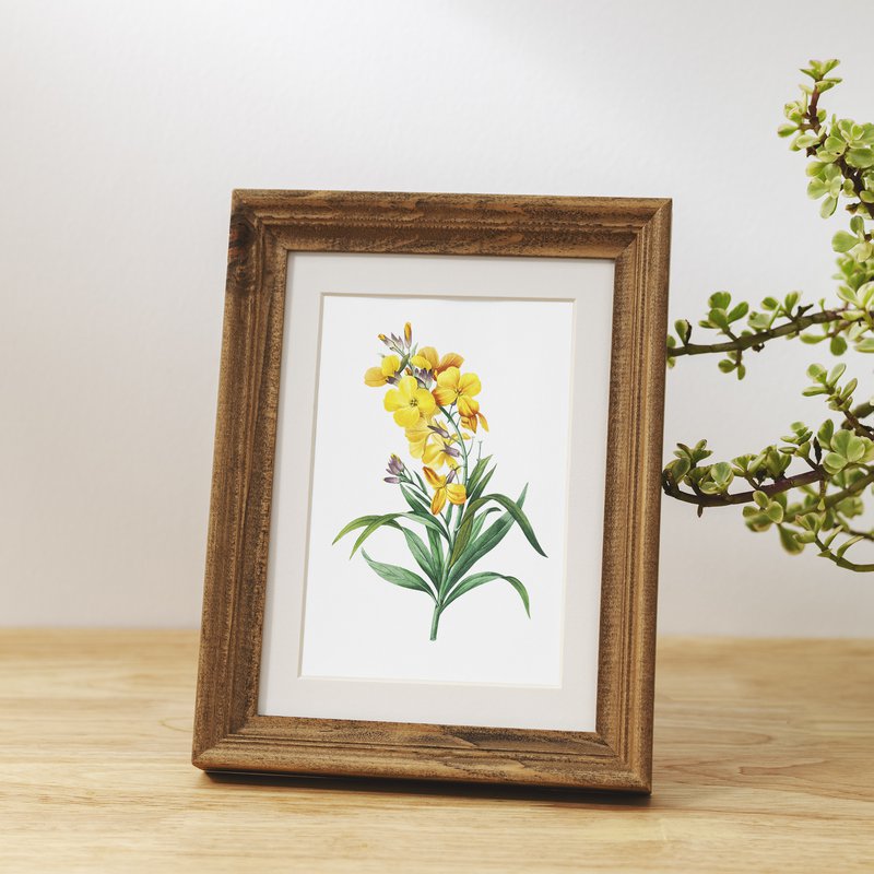 Botaniczny Art Print Mix x16 | Vintage ilustracja kwiat | Dekoracje ścienne