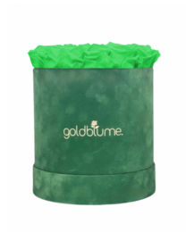 Colección Terciopelo Verde