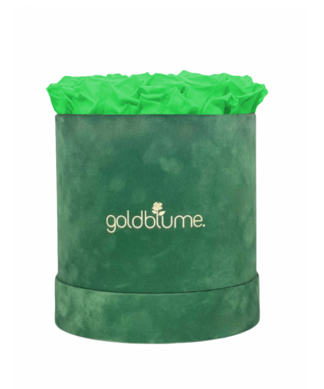 Colección Terciopelo Verde