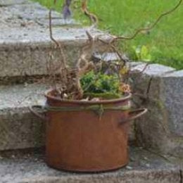 A rustic, decorative planter pot made of terracotta, featuring a lush arrangement of plants and greenery, suitable for use as a vintage garden decoration.