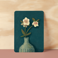 Postcard |  Hellebore