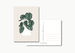 Ansichtkaart - Monstera