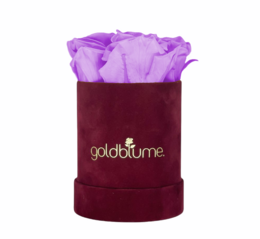 Velvet Bordeaux Collection